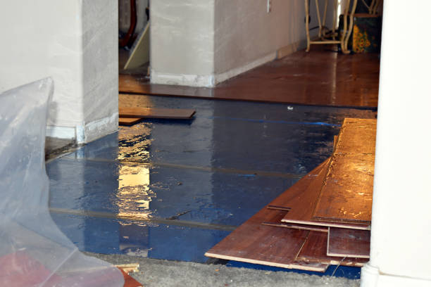 Professional Burst Pipe Cleanup technician working in Homer Glen, IL